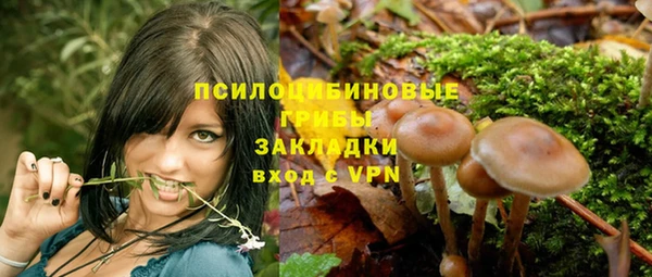 героин Алексин