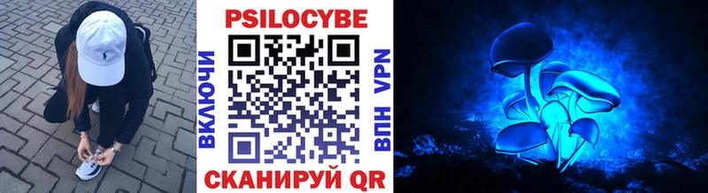 Галлюциногенные грибы MAGIC MUSHROOMS  где купить   Бикин 